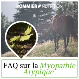  Atypical Myopathy in 5 questions - University of Liège