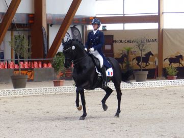Maxime Collard, new Horse Master and Farnam partner!