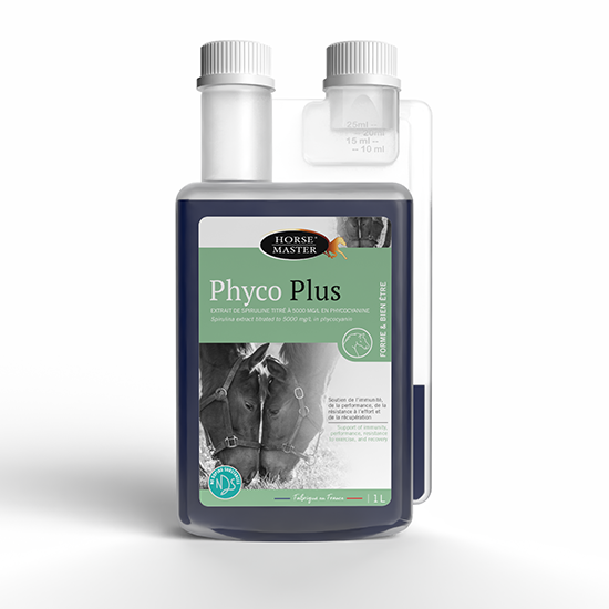 PHYCO PLUS