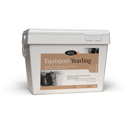 EQUISPORT YEARLING