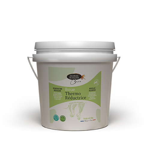 BOUE THERMO REDUCTRICE