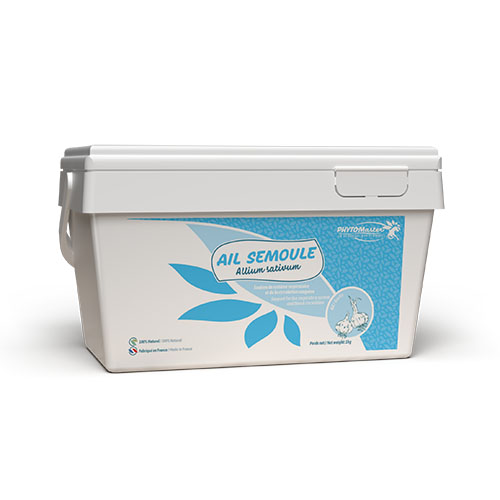 AIL SEMOULE