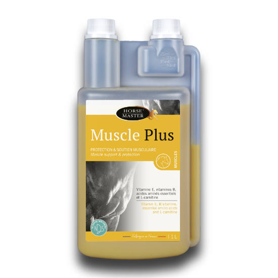 MUSCLE PLUS