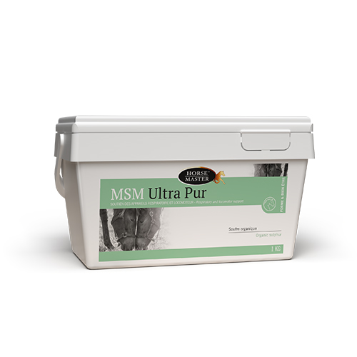 MSM ULTRA PUR